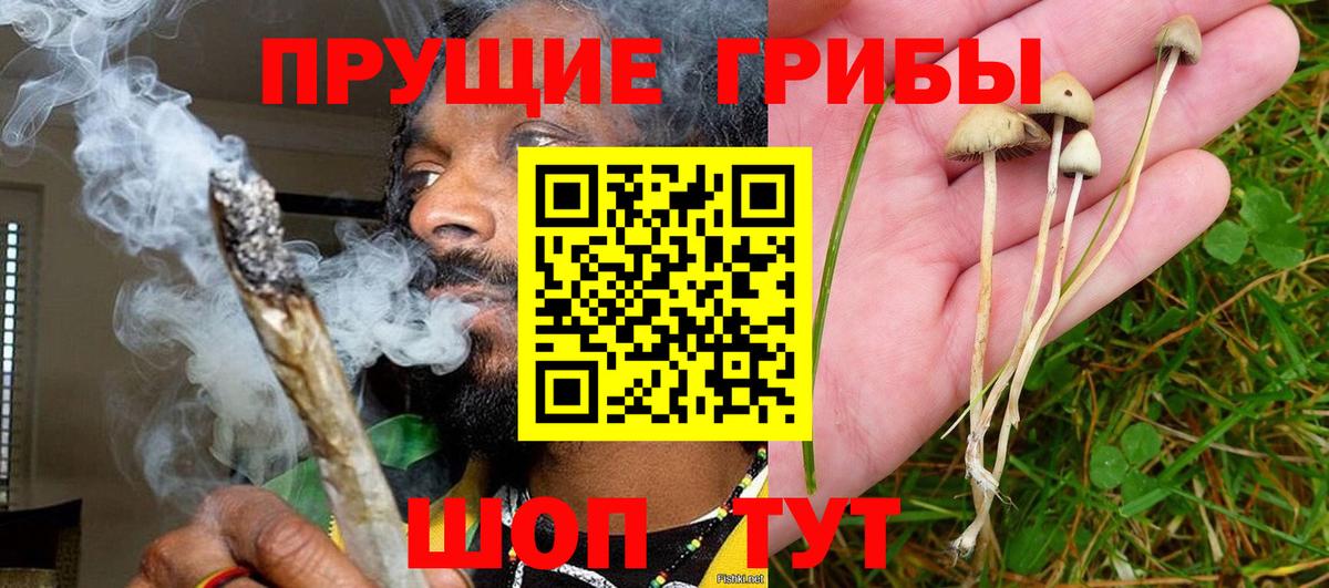 Псилоцибиновые грибы Magic Shrooms  Вход с VPN  Среднеуральск  Псилоцибиновые грибы Cubensis 